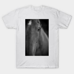 Horse soul T-Shirt